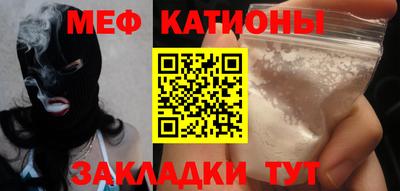 индика Можга