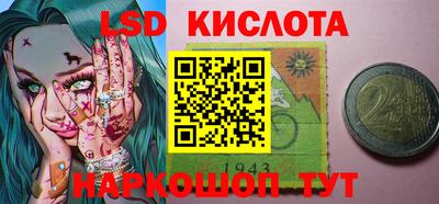 индика Можга