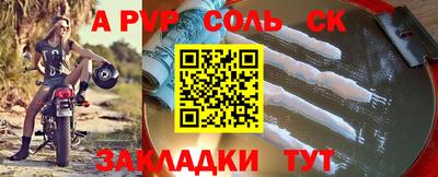 индика Можга