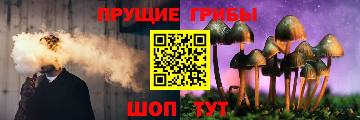 Галлюциногенные грибы Psilocybine cubensis Рязань